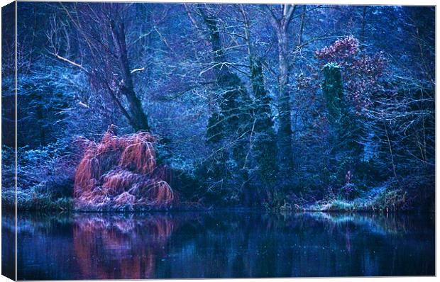 Mystic Lake Canvas Print by Dawn Cox