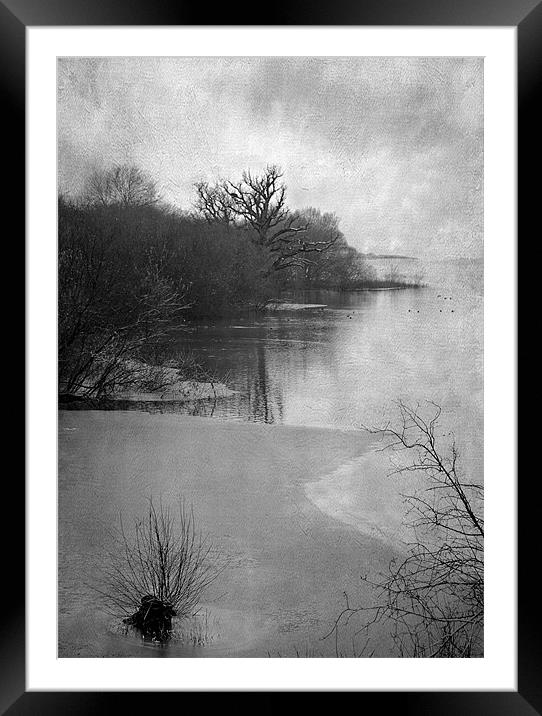 Bleak Winter Framed Mounted Print by Dawn Cox