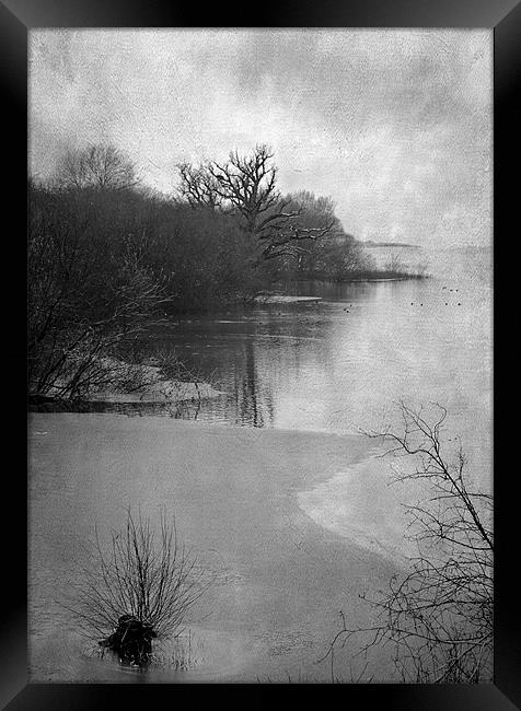 Bleak Winter Framed Print by Dawn Cox