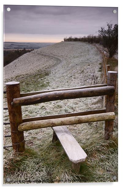 A Winters Stile Acrylic by Phil Wareham