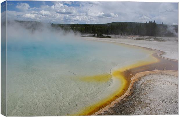 Hot pool,  Yellowstone Canvas Print by Claudio Del Luongo