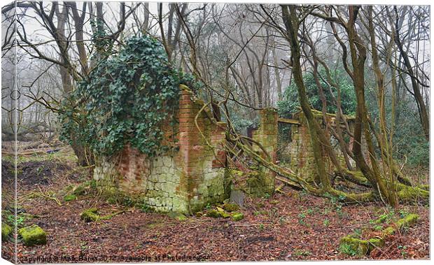 Old Ruin Canvas Print by Mark  F Banks