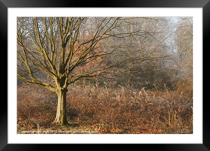 Winter Scene Framed Mounted Print by paul petty