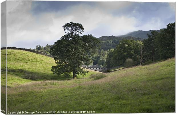 Tree Between the Hills Canvas Print by George Davidson