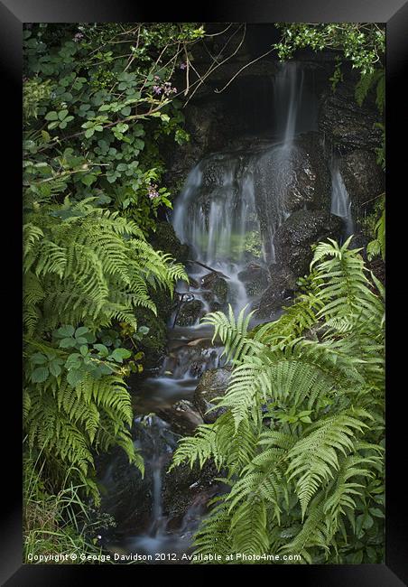 Water, Water, Everywhere... Framed Print by George Davidson