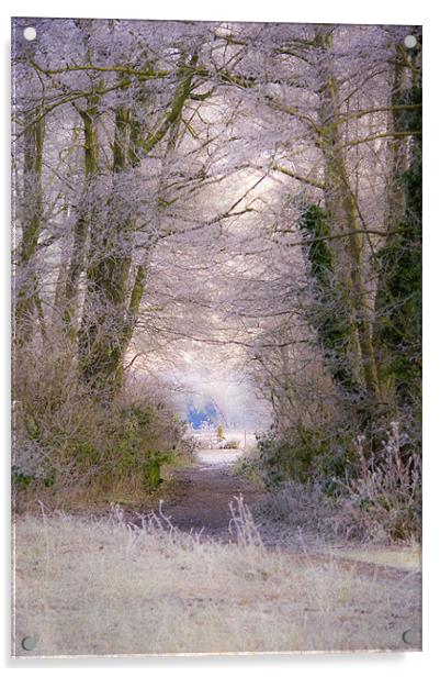 A Frosty Canopy Acrylic by Dawn Cox