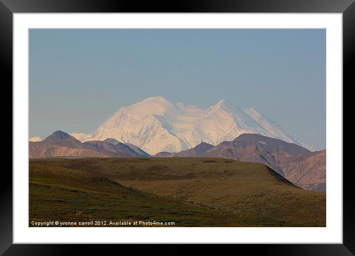 Mount McKinlay, Alaska Framed Mounted Print by yvonne & paul carroll