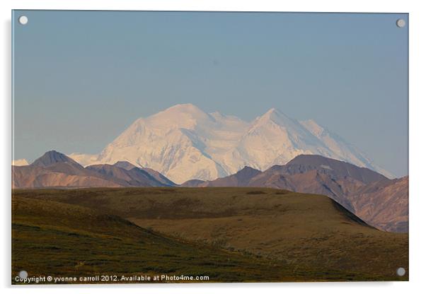 Mount McKinlay, Alaska Acrylic by yvonne & paul carroll