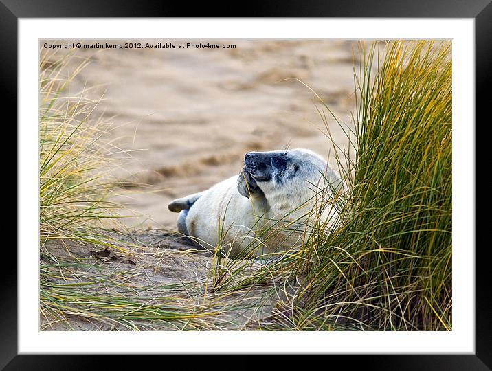 Deep in Thought Framed Mounted Print by Martin Kemp Wildlife