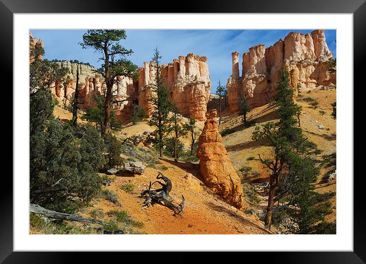Dry logs, trees and rock torrets Framed Mounted Print by Claudio Del Luongo
