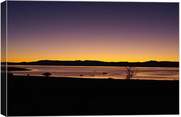 First morning light, Mono Lake, California Canvas Print by Claudio Del Luongo