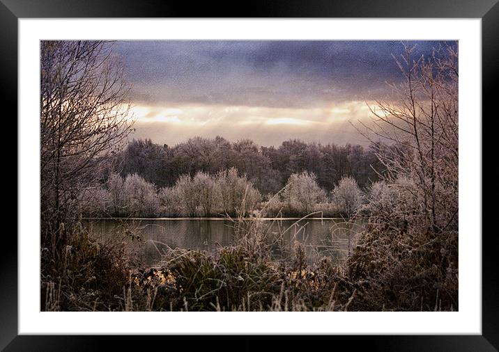 Cold December frost Framed Mounted Print by Dawn Cox
