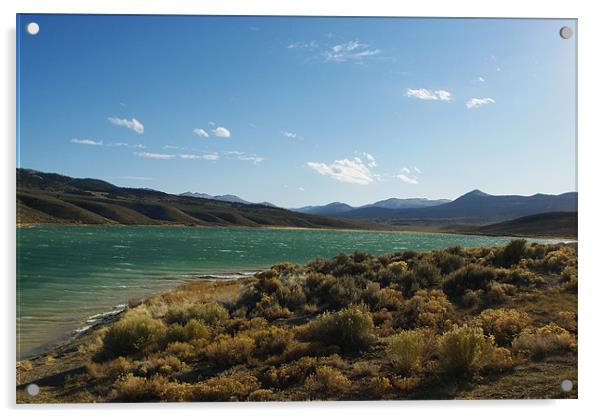Illipah Creek Reservoir, Nevada Acrylic by Claudio Del Luongo
