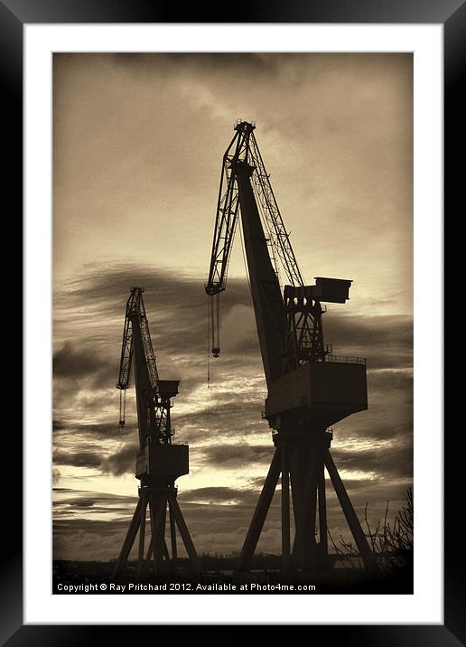 Vintage Cranes Framed Mounted Print by Ray Pritchard