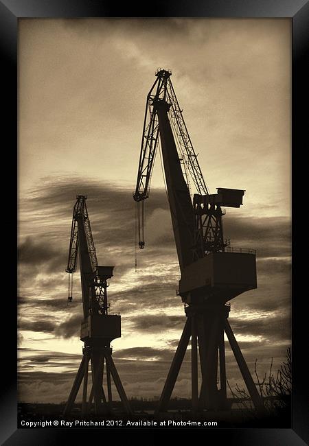 Vintage Cranes Framed Print by Ray Pritchard