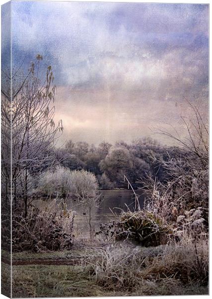 Wonderful Winterland Canvas Print by Dawn Cox