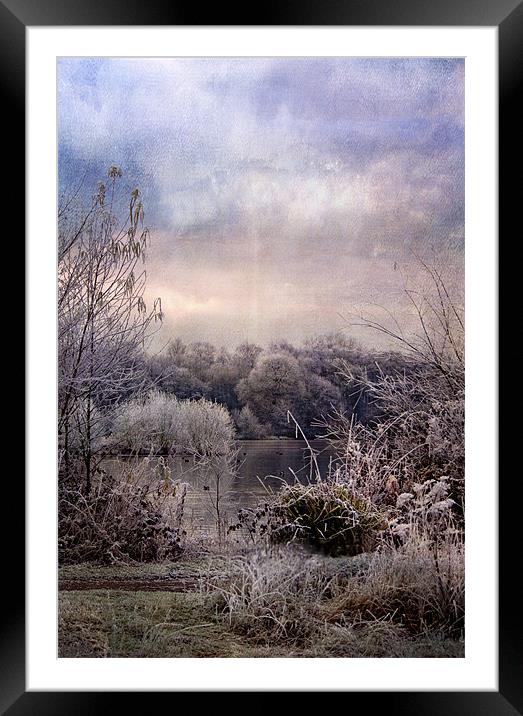 Wonderful Winterland Framed Mounted Print by Dawn Cox