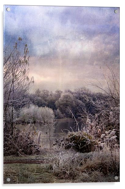 Wonderful Winterland Acrylic by Dawn Cox