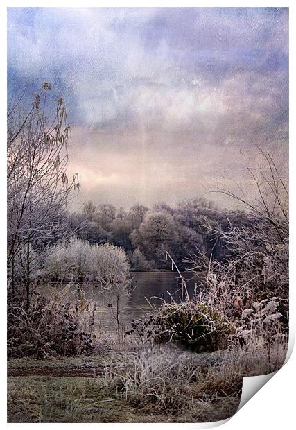 Wonderful Winterland Print by Dawn Cox
