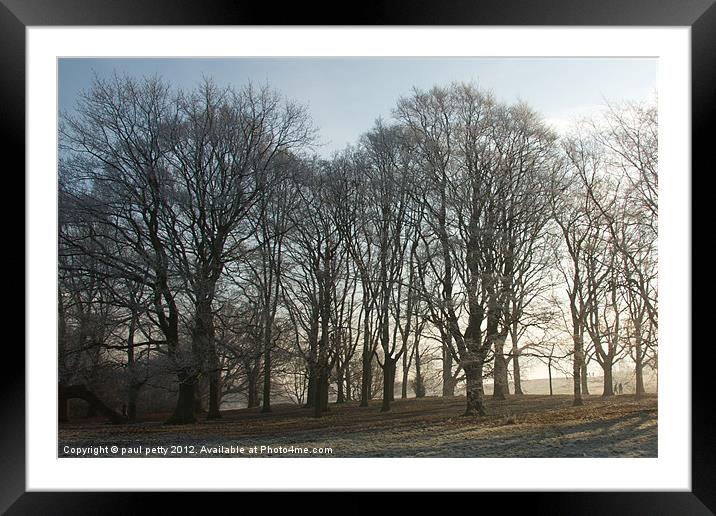 Frosty Trees Framed Mounted Print by paul petty