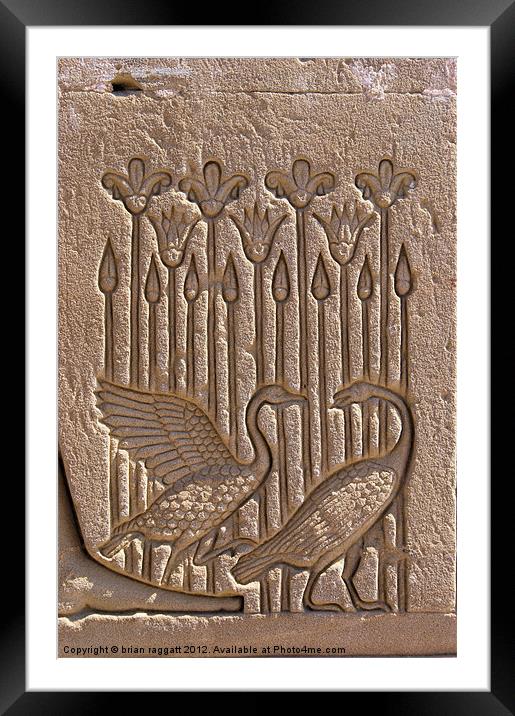 Dendera Carving 8 Framed Mounted Print by Brian  Raggatt