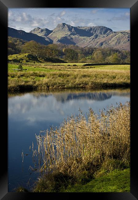 langdale pikes from elterwater Framed Print by meirion matthias