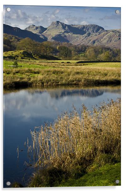 langdale pikes from elterwater Acrylic by meirion matthias