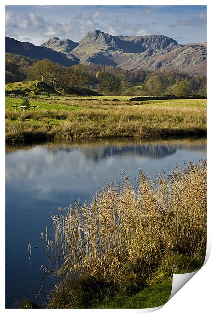langdale pikes from elterwater Print by meirion matthias