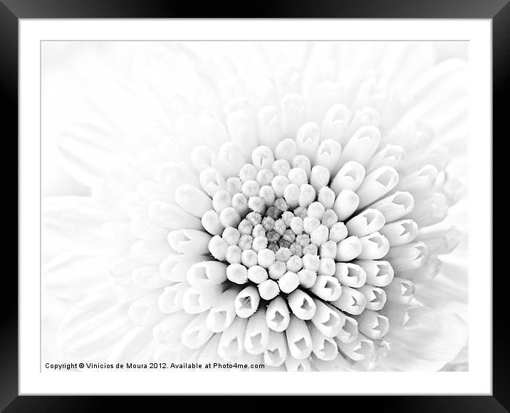 White dahlia Framed Mounted Print by Vinicios de Moura