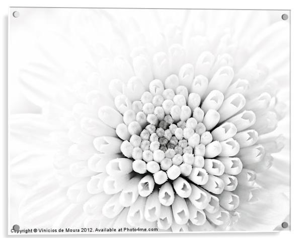 White dahlia Acrylic by Vinicios de Moura