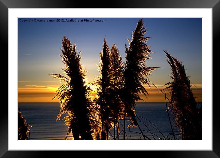Sunny Pampas Framed Mounted Print by camera man