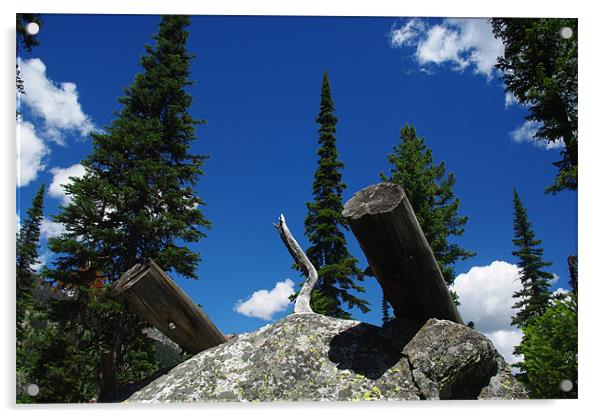 Logs on rock boulder, trees and intense blue sky Acrylic by Claudio Del Luongo