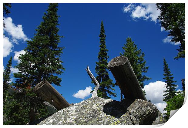 Logs on rock boulder, trees and intense blue sky Print by Claudio Del Luongo