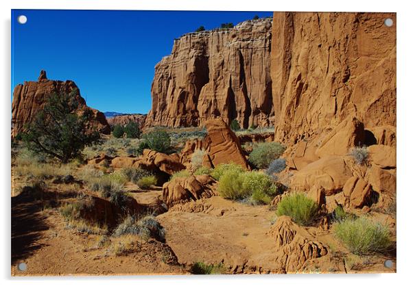 Kodachrome rocks, Utah Acrylic by Claudio Del Luongo