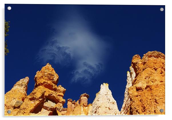 Mystic cloud on Bryce Canyon, Utah Acrylic by Claudio Del Luongo