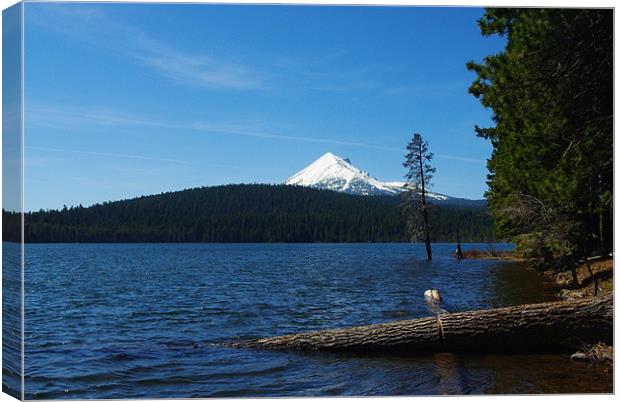 Lake of the Woods with Mount McLoughlin, Oregon Canvas Print by Claudio Del Luongo