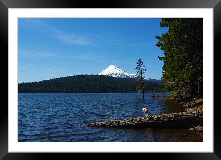 Lake of the Woods with Mount McLoughlin, Oregon Framed Mounted Print by Claudio Del Luongo