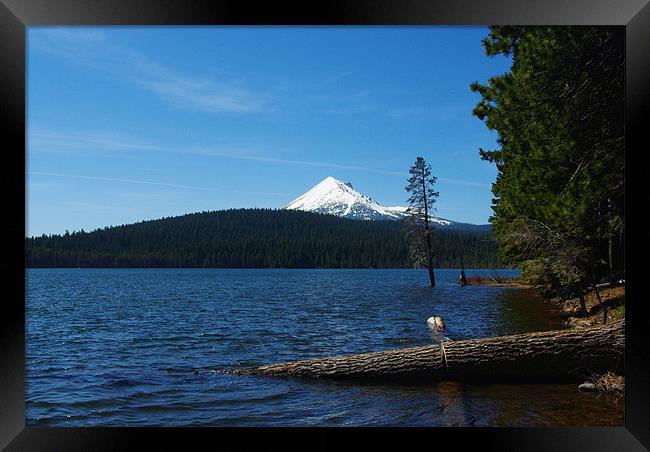 Lake of the Woods with Mount McLoughlin, Oregon Framed Print by Claudio Del Luongo