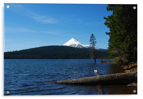 Lake of the Woods with Mount McLoughlin, Oregon Acrylic by Claudio Del Luongo