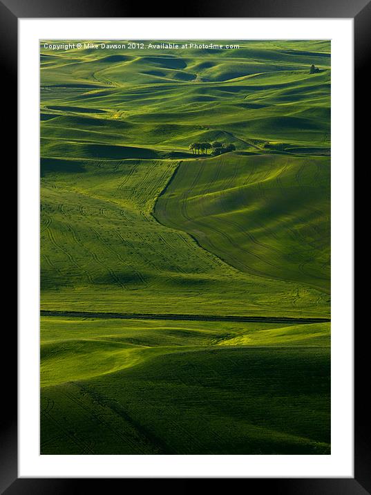 Within a Sea of  Green Framed Mounted Print by Mike Dawson