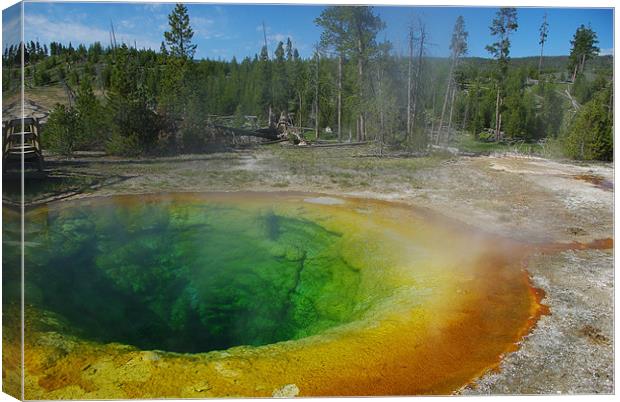 Morning Glory Pool, Yellowstone Canvas Print by Claudio Del Luongo