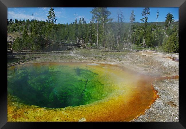 Morning Glory Pool, Yellowstone Framed Print by Claudio Del Luongo