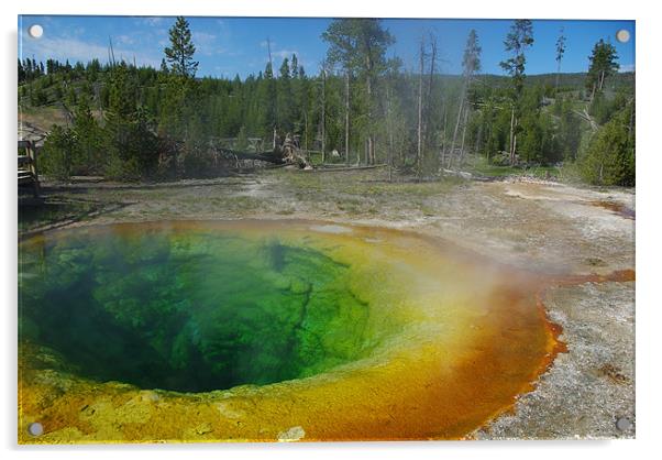 Morning Glory Pool, Yellowstone Acrylic by Claudio Del Luongo