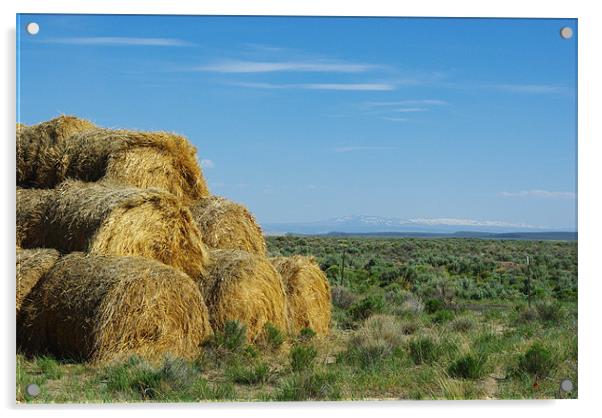 Hay bales in Montana Acrylic by Claudio Del Luongo