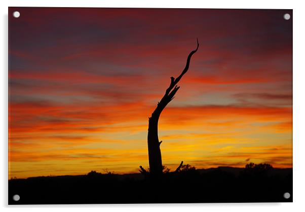 Utah sunset Acrylic by Claudio Del Luongo