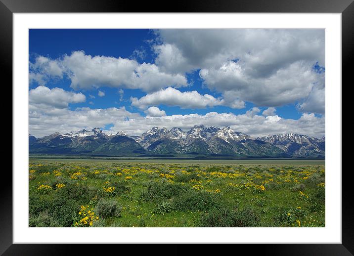 Grand Tetons, Wyoming Framed Mounted Print by Claudio Del Luongo
