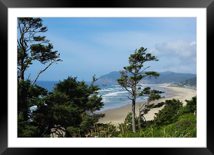 Pacific Coast, Oregon Framed Mounted Print by Claudio Del Luongo