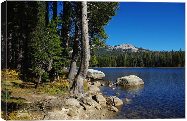 Beautiful Ice House Reservoir, California Canvas Print by Claudio Del Luongo