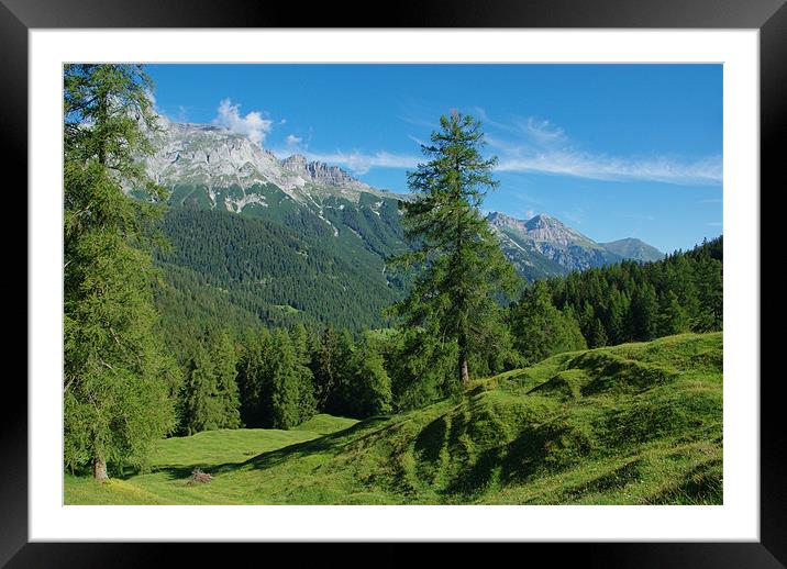 Scenery near Vättis, Switzerland Framed Mounted Print by Claudio Del Luongo