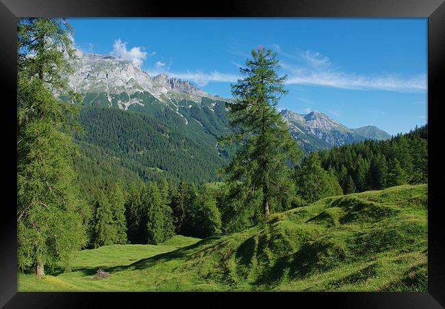 Scenery near Vättis, Switzerland Framed Print by Claudio Del Luongo